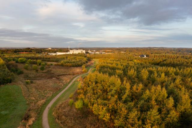 Luftfoto af Anebjerg Skov med Skanderborg Fælled i baggrunden