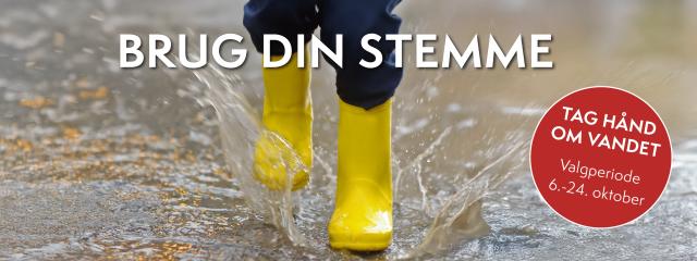 Brug din stemme til forbrugervalget