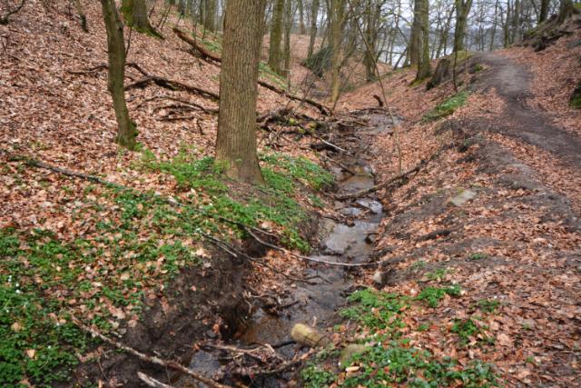 Billede af vandløbet i Skovslugten
