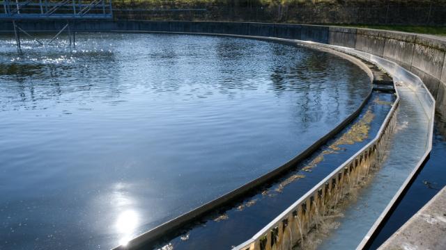 Spildevandsbassin på Skovby Renseanlæg